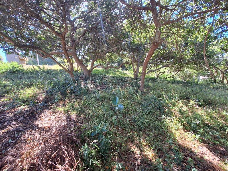 0 Bedroom Property for Sale in Bergsig Western Cape